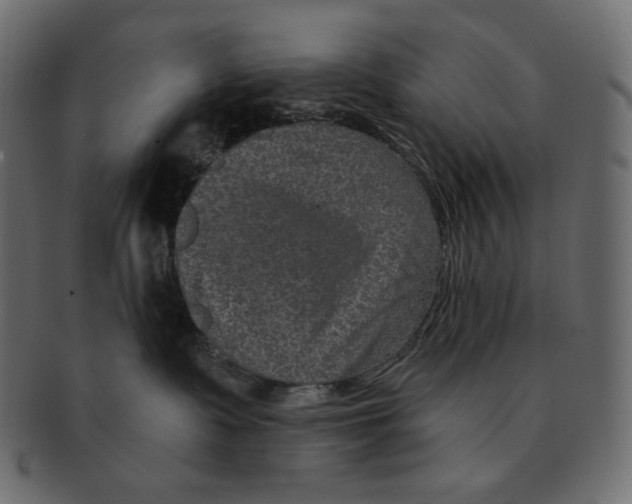 X0000091930335200710031103