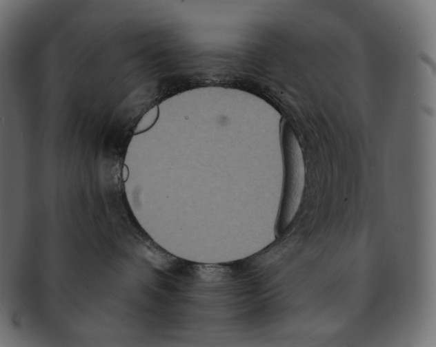 X0000091930336200710031103