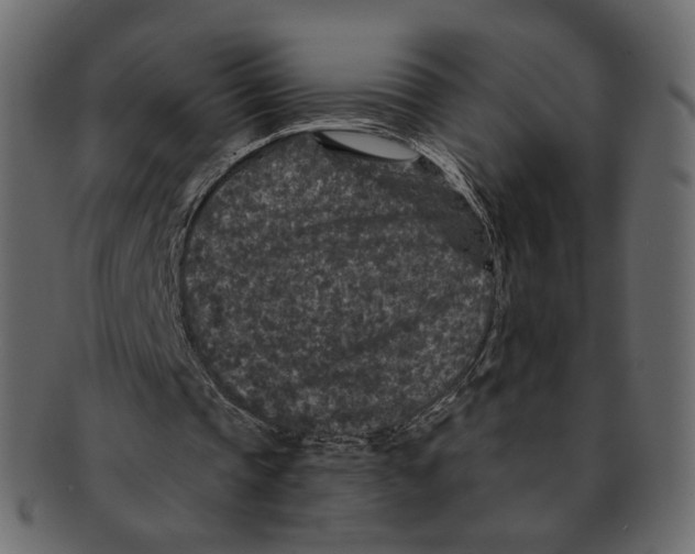 X0000091930337200710031103