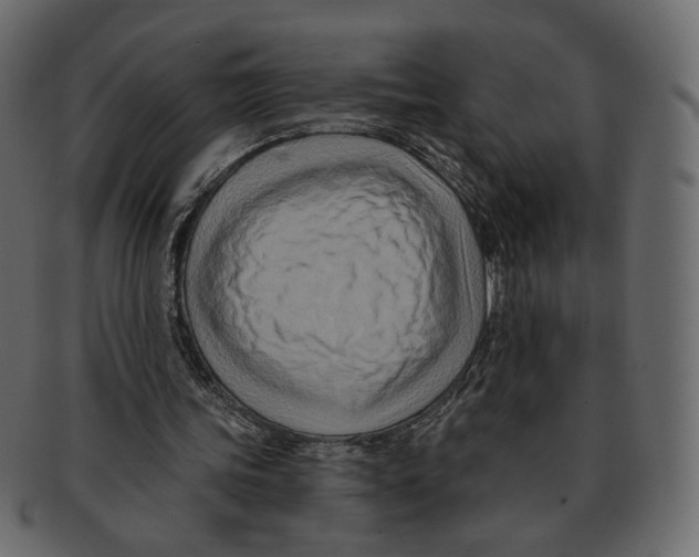 X0000091930339200710031103