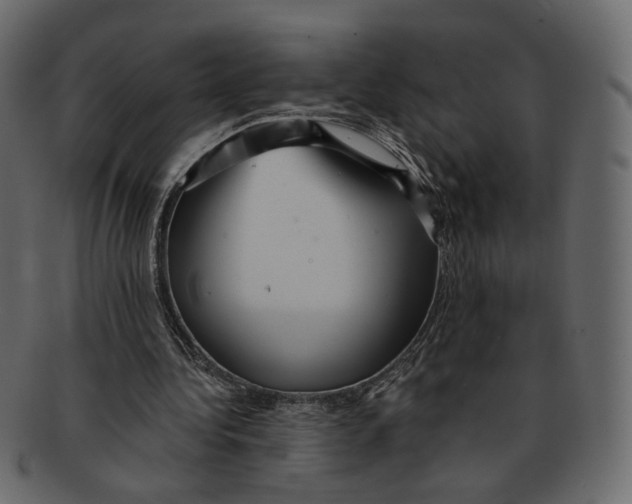 X0000091930340200710031103