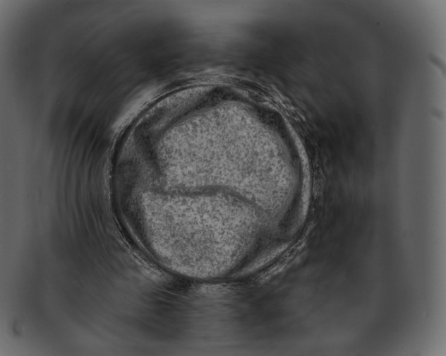 X0000091930341200710031103