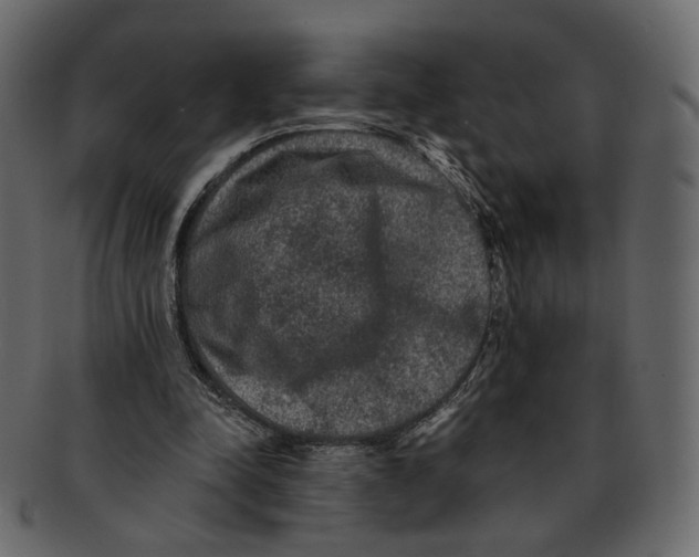 X0000091930342200710031103