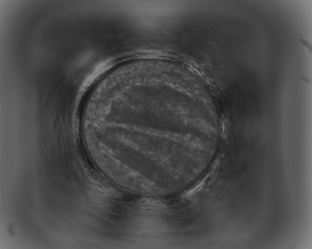 X0000091930343200710031103