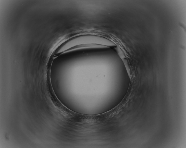 X0000091930344200710031103