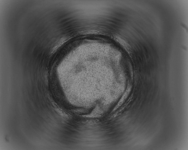 X0000091930345200710031103