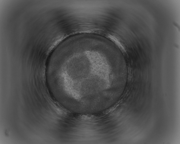 X0000091930346200710031103