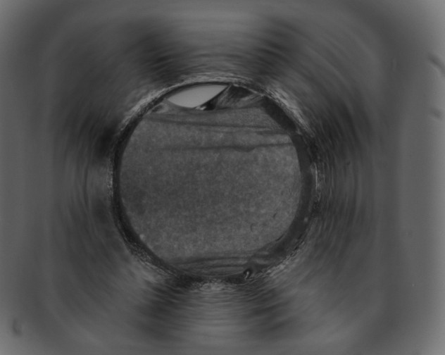 X0000091930348200710031103