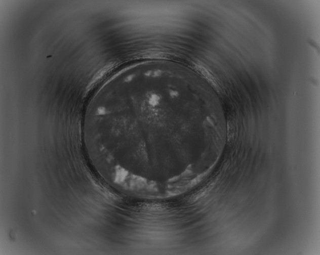 X0000091930349200710031103