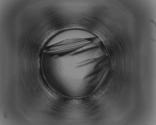 X0000091930350200710031103