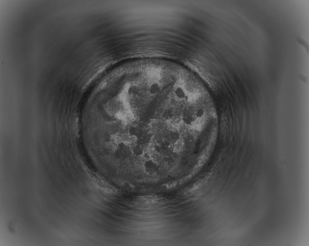 X0000091930351200710031103