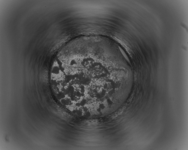 X0000091930353200710031103