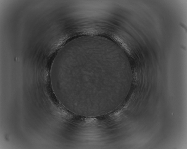 X0000091930355200710031103