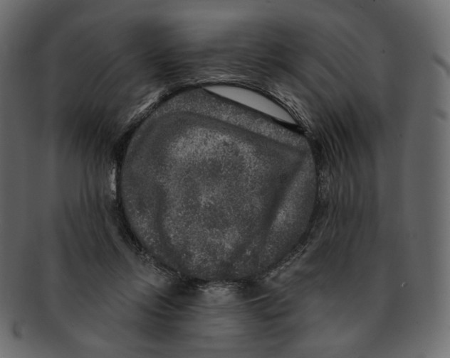 X0000091930358200710031103