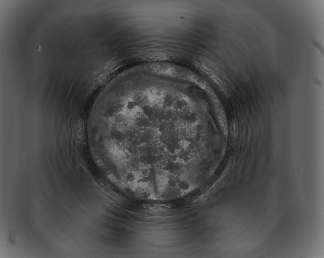 X0000091930359200710031103