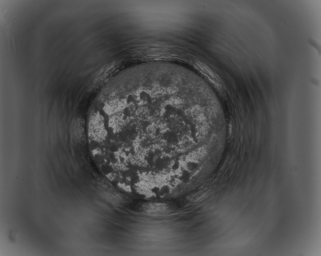 X0000091930361200710031103