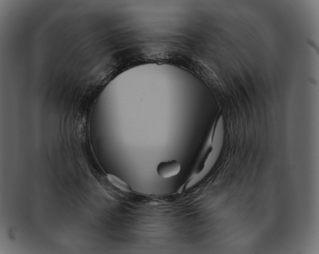 X0000091930364200710031103