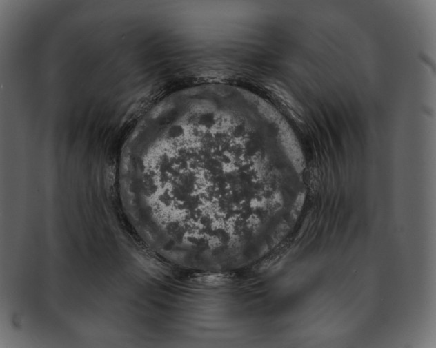 X0000091930365200710031103