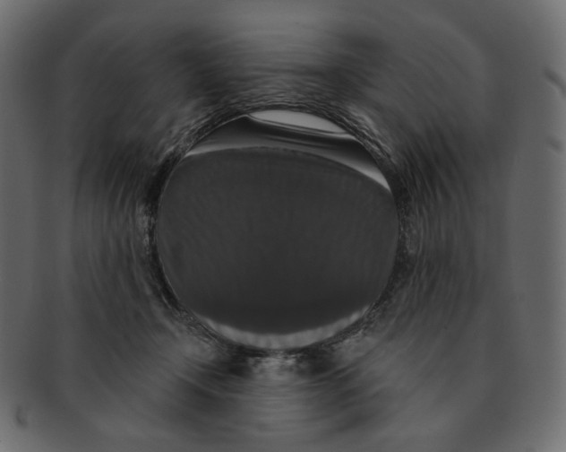 X0000091930366200710031103