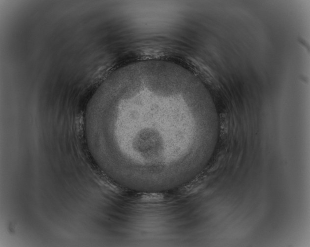 X0000091930369200710031103