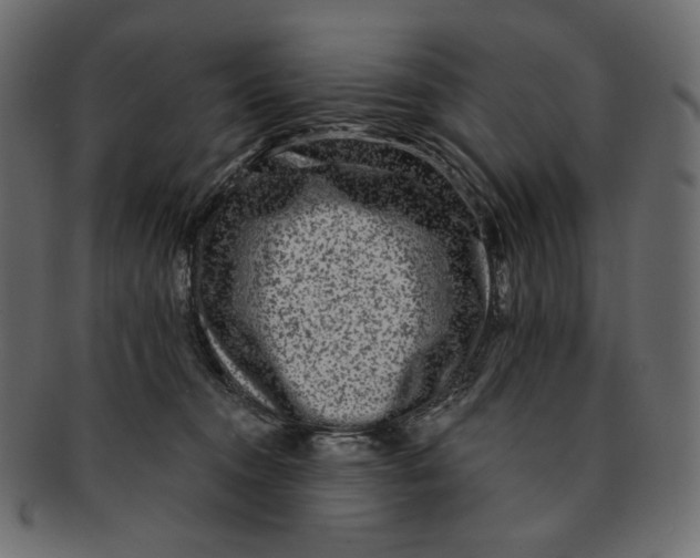 X0000091930372200710031103