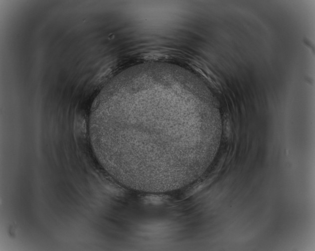 X0000091930375200710031103