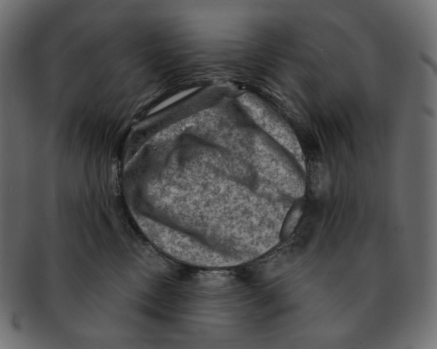 X0000091930378200710031103