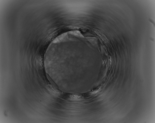 X0000091930380200710031103