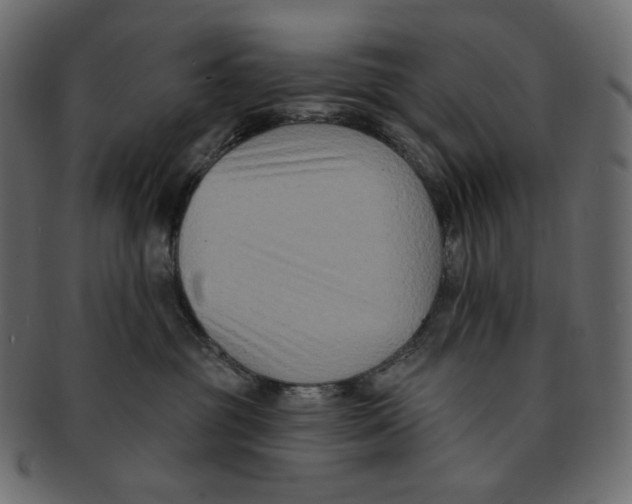 X0000091930381200710031103