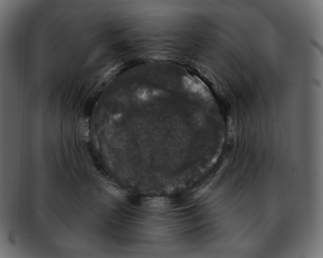 X0000091930383200710031103