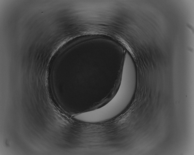 X0000091930387200710031103