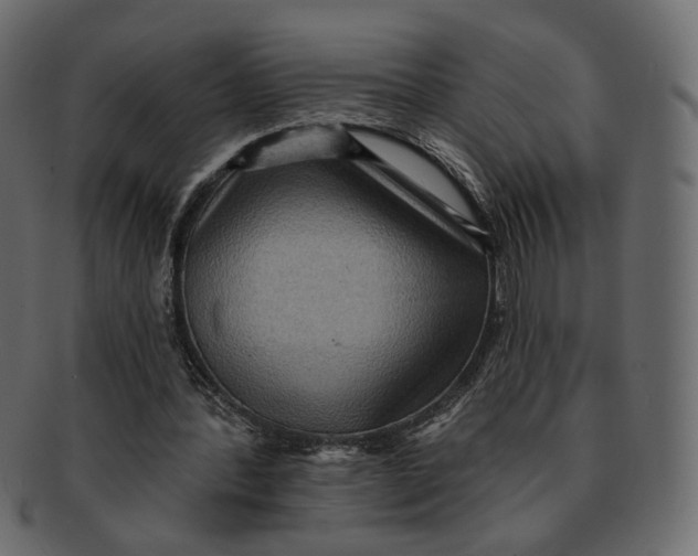 X0000091930388200710031103