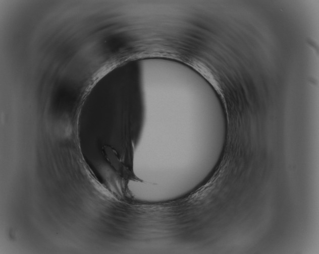 X0000091930389200710031103