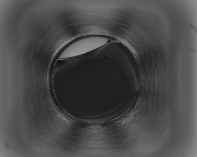 X0000091930391200710031103