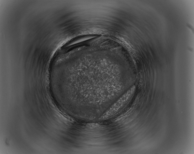 X0000091930392200710031103