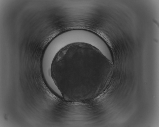 X0000091930393200710031103