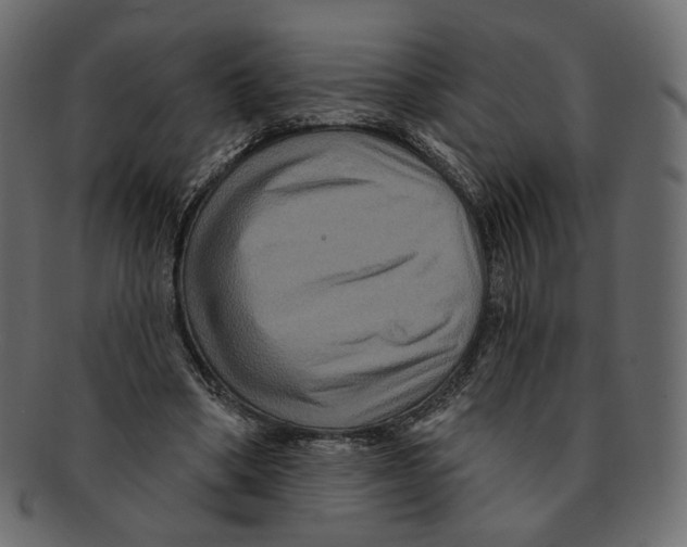 X0000091930394200710031103