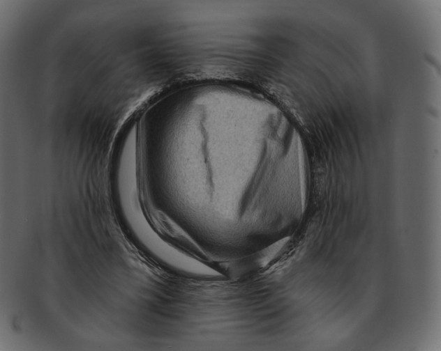 X0000091930395200710031103