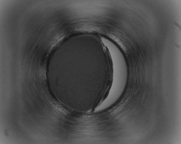 X0000091930399200710031102