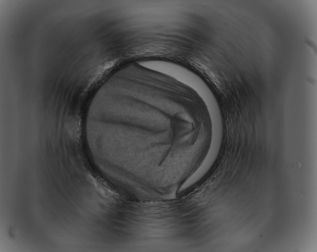 X0000091930400200710031102