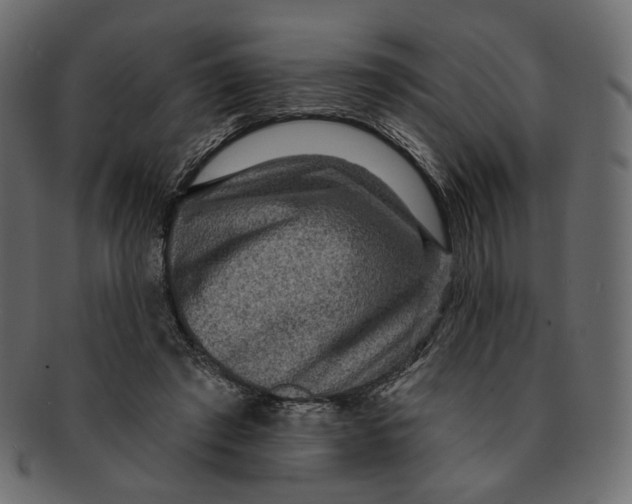 X0000091930401200710031102