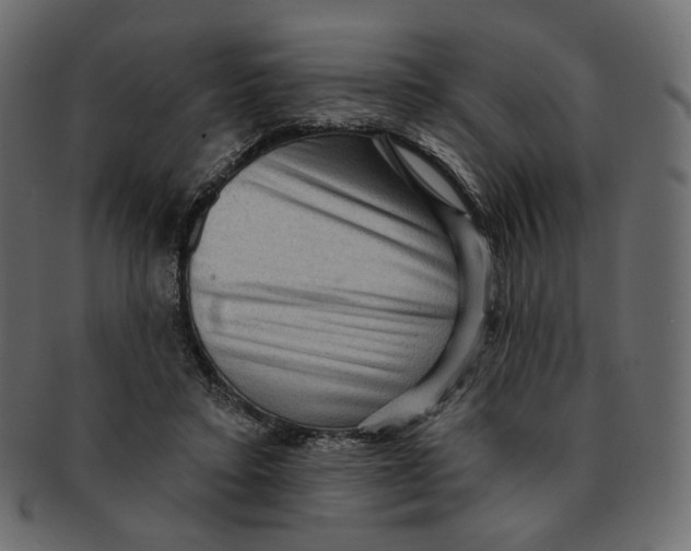 X0000091930403200710031102