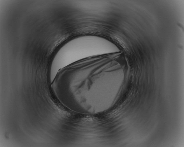 X0000091930404200710031102