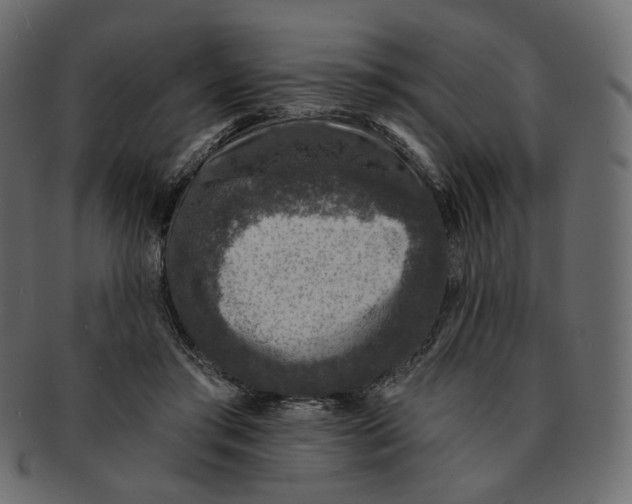 X0000091930405200710031102