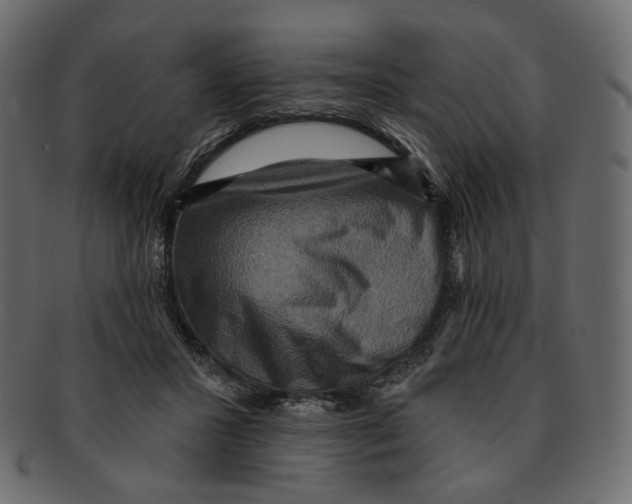 X0000091930407200710031102