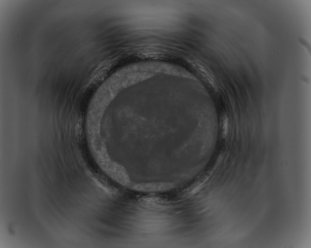 X0000091930408200710031102