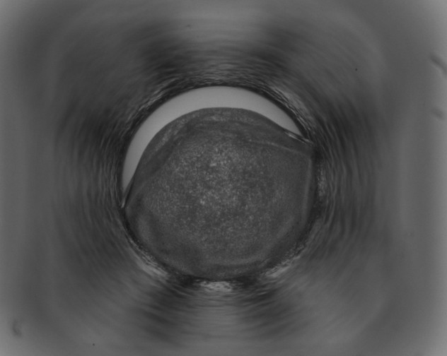 X0000091930409200710031102