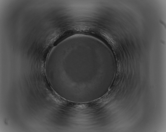 X0000091930411200710031102