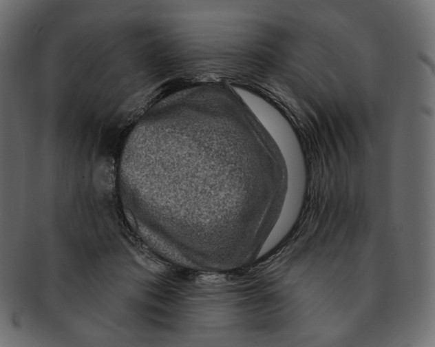 X0000091930413200710031102