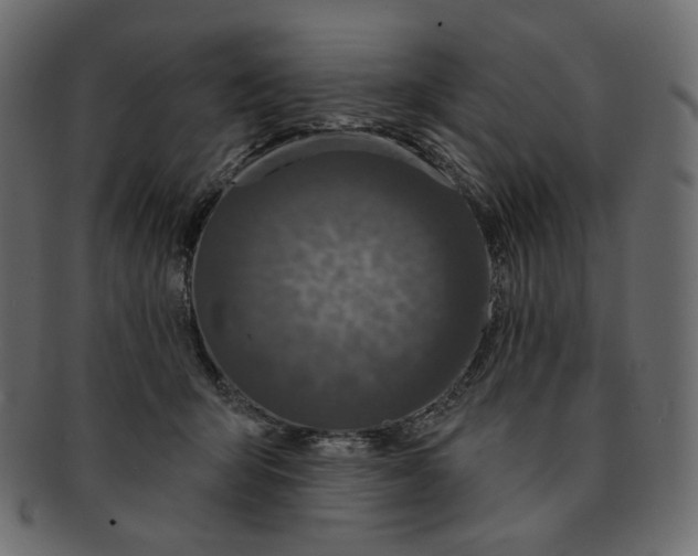 X0000091930415200710031102